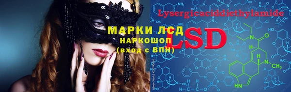 твердый Богданович