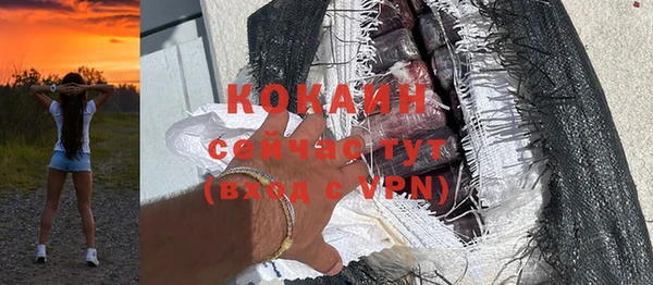 шишки Богородицк