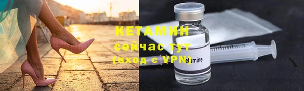 твердый Богданович