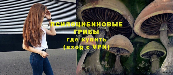 шишки Богородицк