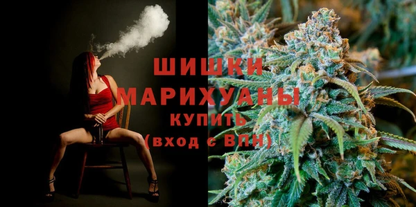 шишки Богородицк