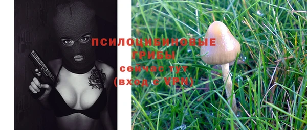 альфа пвп Бугульма