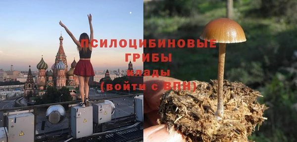шишки Богородицк