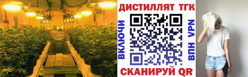 darknet телеграм  Якутск  Дистиллят ТГК жижа 